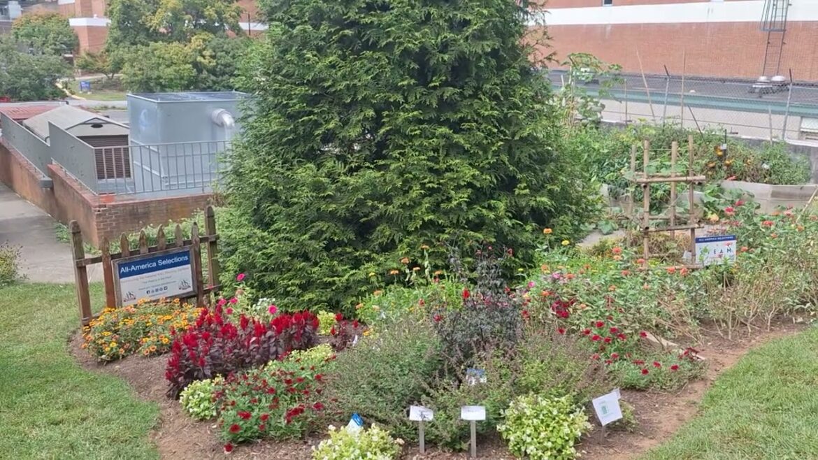 Community Arboretum at Virginia Western Community College