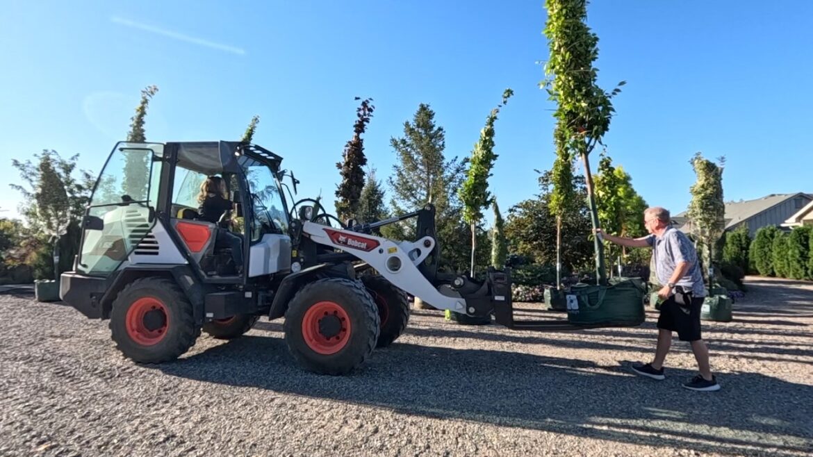 Exciting Load of BIG Trees! 🌳🌲🌳 // Garden Answer