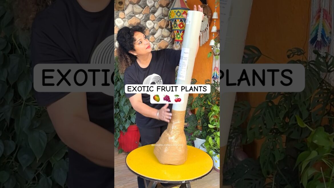 UNBOXING EXOTIC FRUIT PLANTS | GROW FRUIT PLANTS IN CONTAINER #gardening #exotic #shorts #fruits UNBOXING EXOTIC FRUIT PLANTS | GROW FRUIT PLANTS IN CONTAINER #gardening #exotic #shorts #fruits
