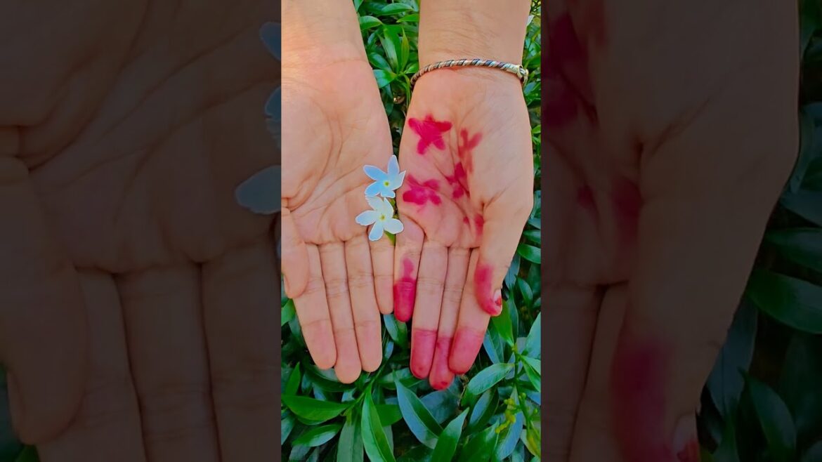 ফুল নিয়ে টিকটিক #gardening #youtubeshorts #UpdateGardening #garden #youtubeshort #flowers #rose