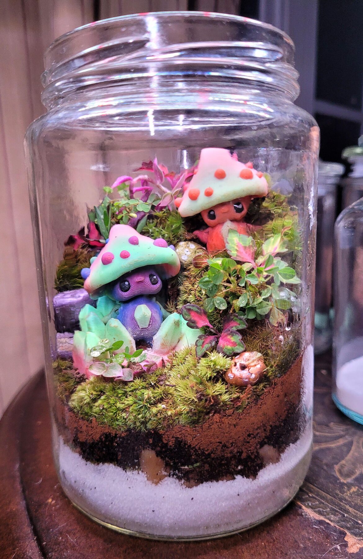 Husband has been 3D printing stuff for my terrariums.