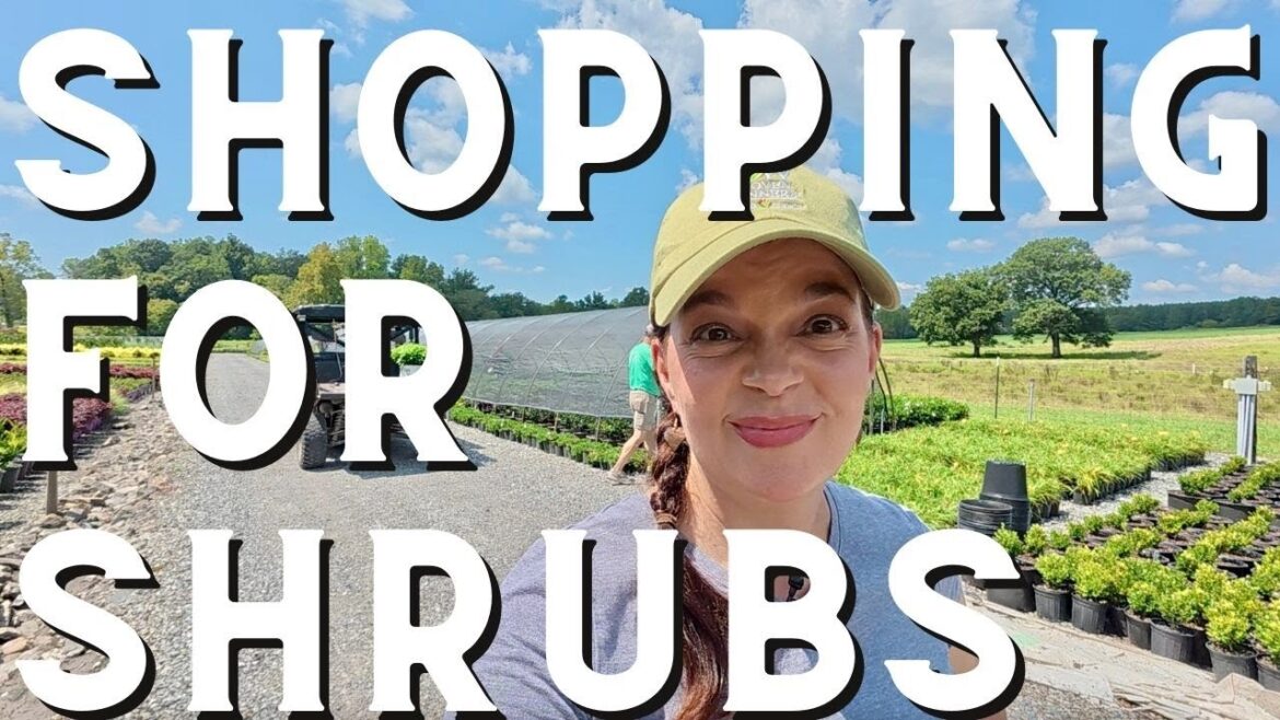 Garden Center Haul | Shopping Shrubs for Our Front Porch Makeover