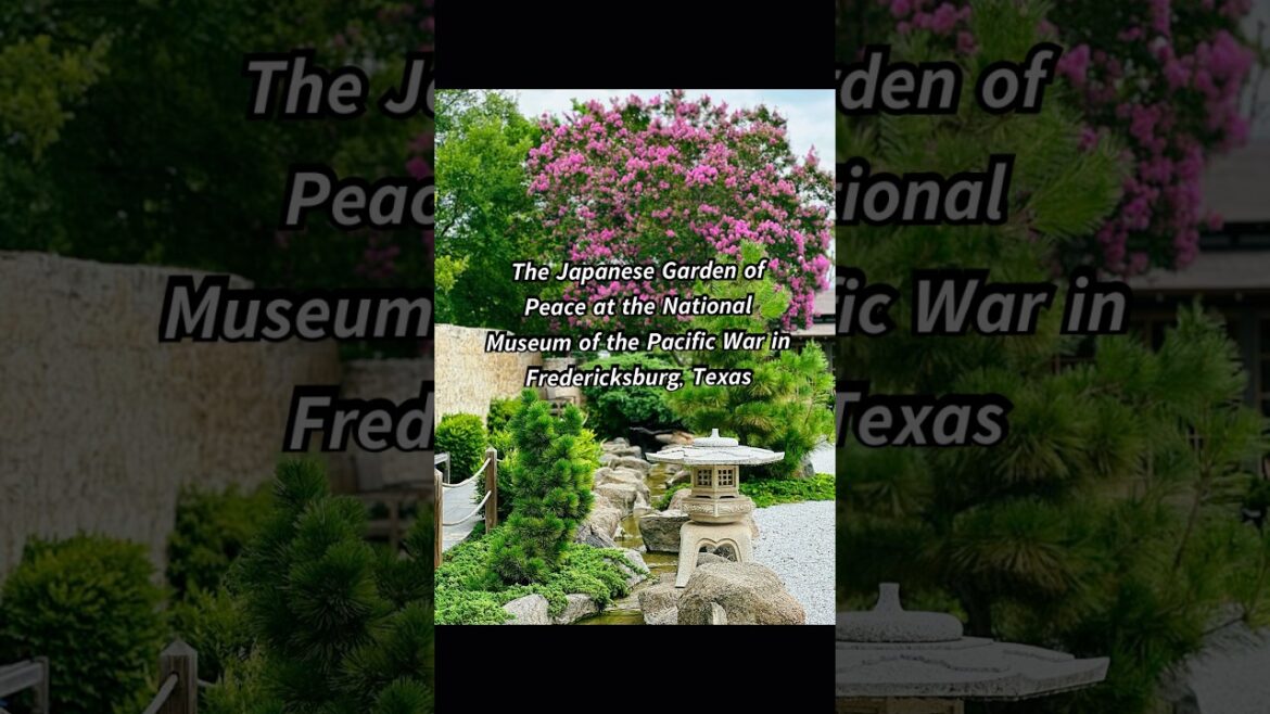 #japanese Garden of Peace, Fredericksburg, TX #japan #usa #fyp #foryou #shorts #reels #travelusa