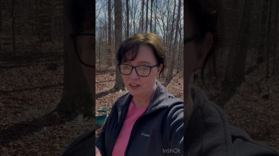 Getting Ready for Spring Zone 7B @splendidgarden7b