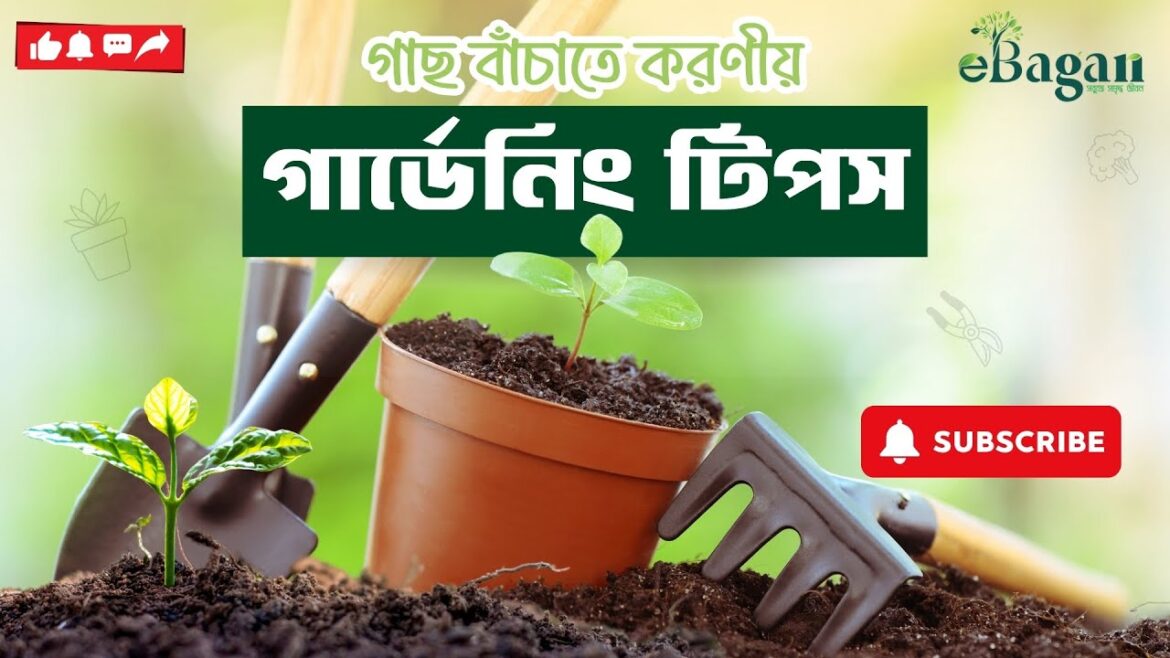 10 Genius Garden Tips Every Home Gardener Should Know! 🌱 Easy DIY Hacks for a Thriving Garden