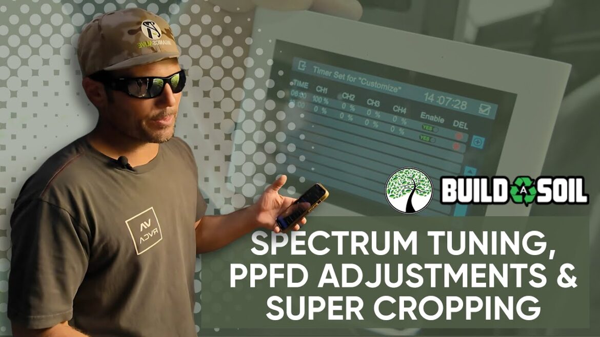 BuildASoil: Day 21 Flower Update // Spectrum Tuning, PPFD Adjustments & Super Cropping BuildASoil: Day 21 Flower Update // Spectrum Tuning, PPFD Adjustments & Super Cropping
