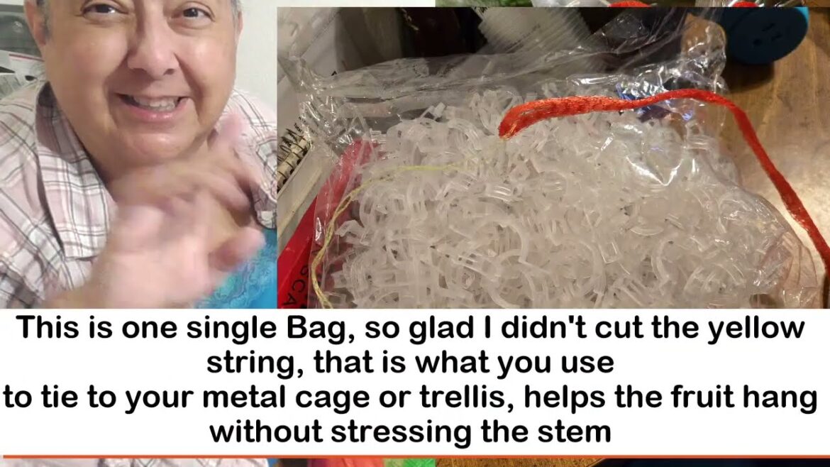 TEMU Haul + Garden Tips