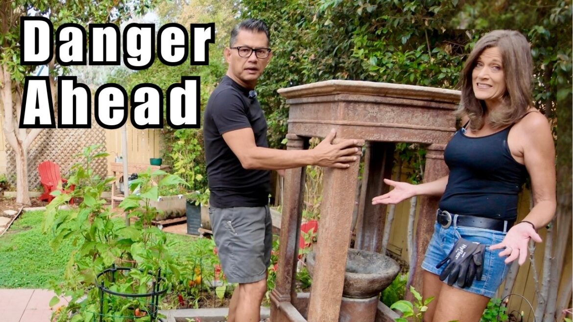 Our Most Dangerous Job Yet + Why Filming's Been Off | CaliKim UnCut 8