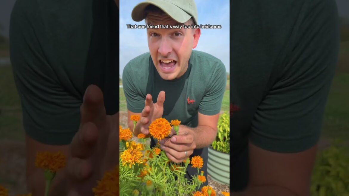 We all Have That One Friend… #gardening #garden #shorts