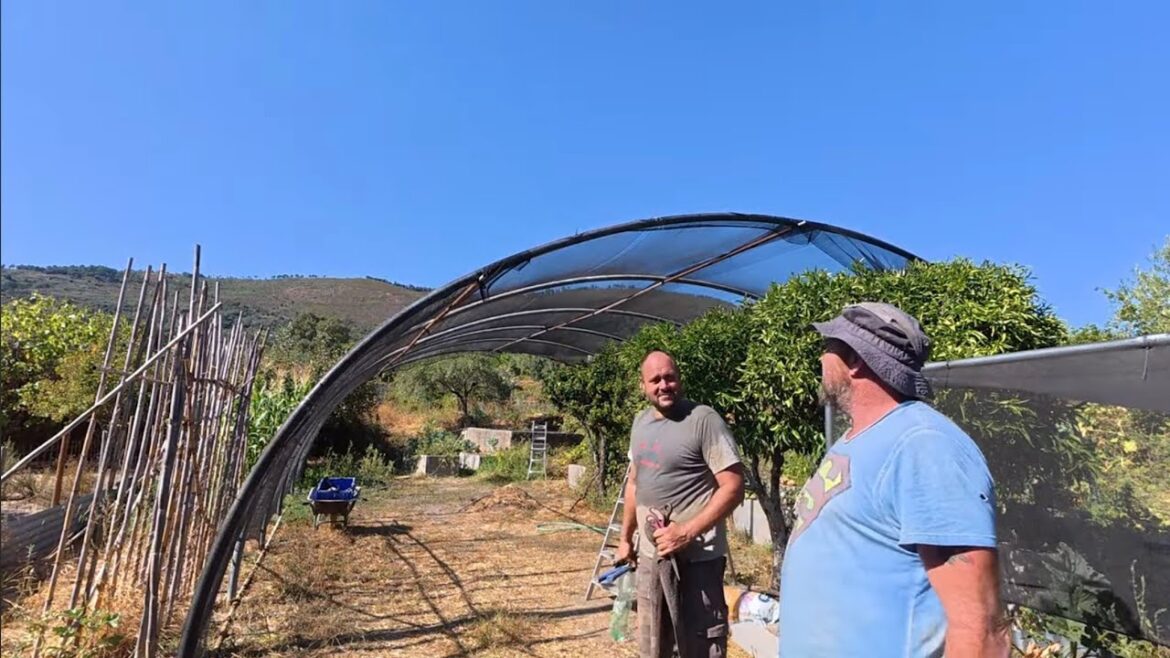 Fitting a Massive Shade Over the Vegetable Garden - 273