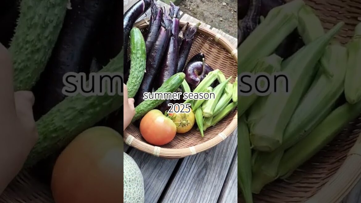 MY JAPANESE HUSBAND DO GOOD IN HOME GARDENING .