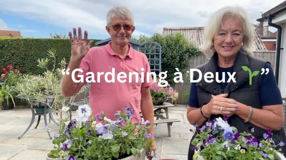 A little 'lasagne' garden project with Rob