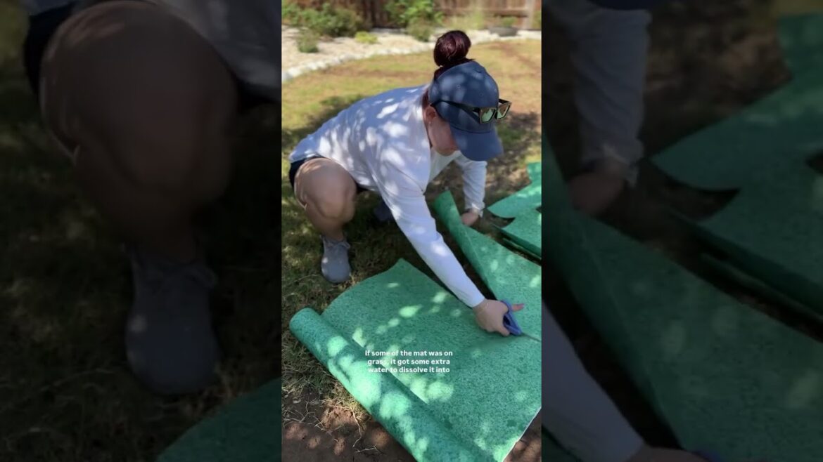 Part 2 of installing grass seed mat went swimmingly and now we wait and watch the grass grow 😂 Part 2 of installing grass seed mat went swimmingly and now we wait and watch the grass grow 😂