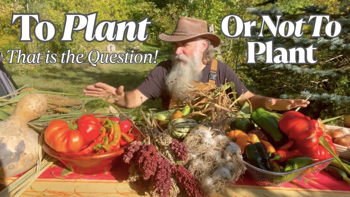 What to Grow & Not to Grow & to Do Differently! ADVICE From 6YRS of Growing ALL Our Food FOR A YEAR! What to Grow & Not to Grow & to Do Differently! ADVICE From 6YRS of Growing ALL Our Food FOR A YEAR!