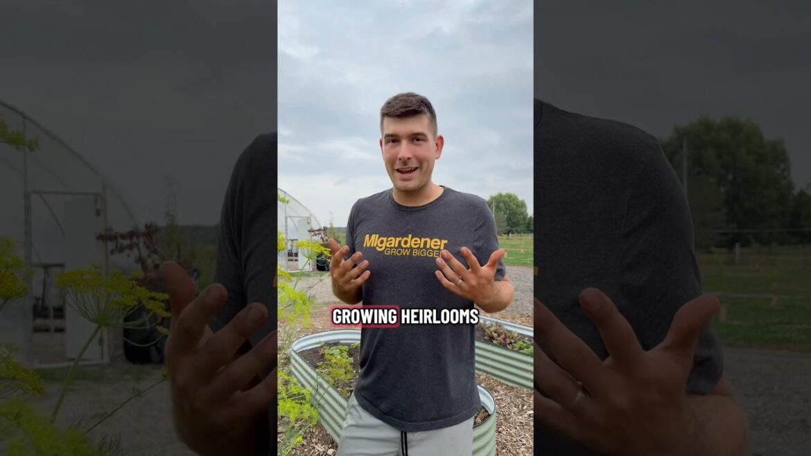 Pick What Is Right For YOU! #gardening #garden #gardeningtips #shorts