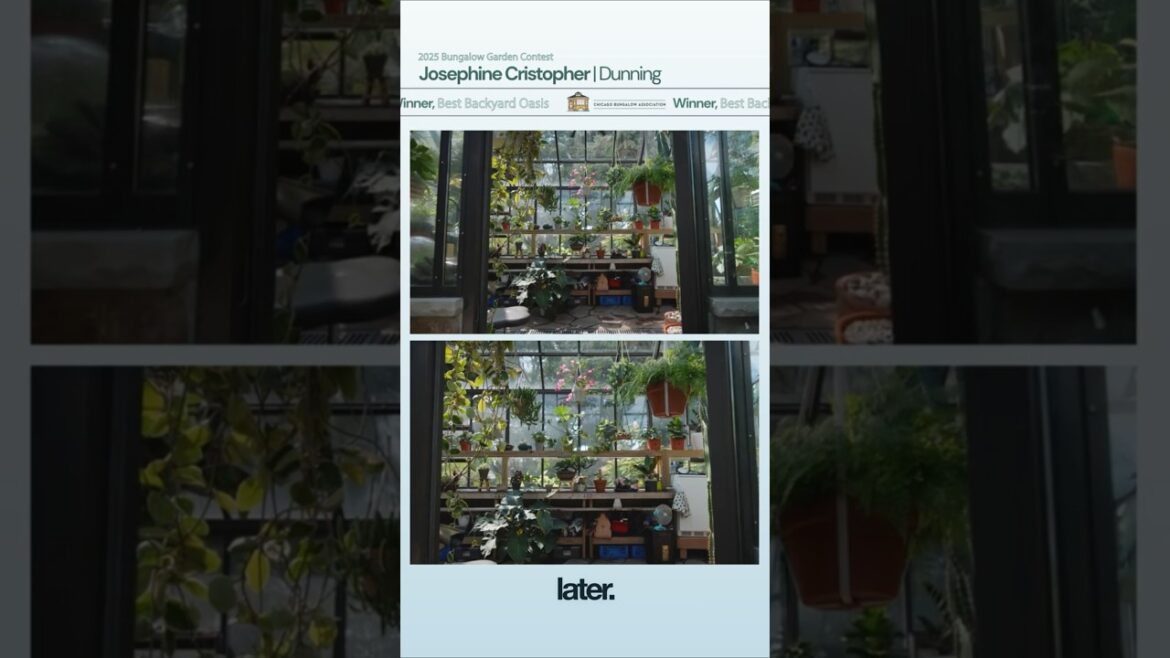 9th Annual Bungalow Garden Contest Winner: Josephine Christopher, Best Backyard Oasis 9th Annual Bungalow Garden Contest Winner: Josephine Christopher, Best Backyard Oasis