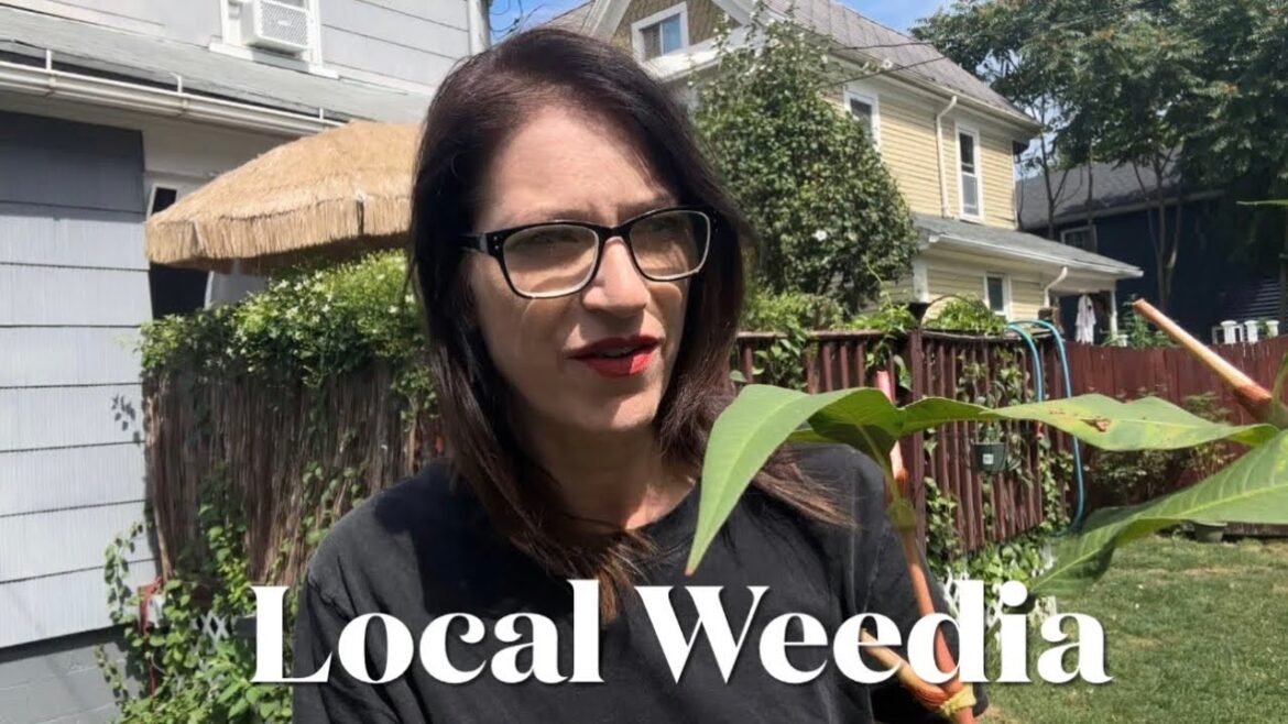 All 🪴& Clone Check // Bug Zapper in my Tent?! // Cannabis & Garden // August Review