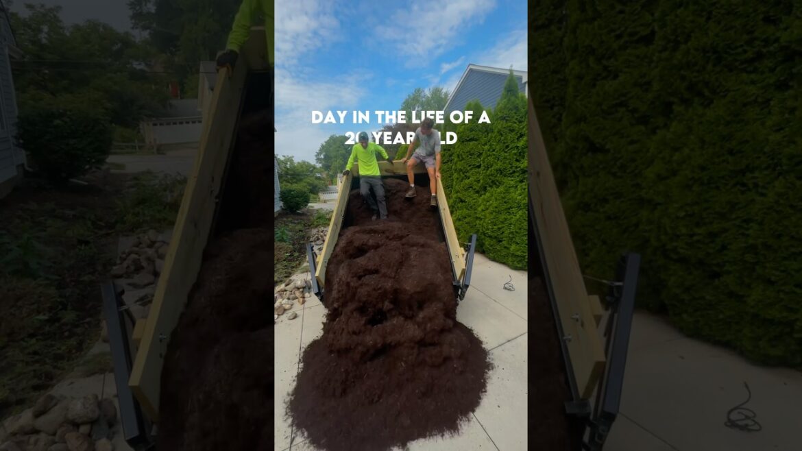 Day in the life of a 20 year old Landscaping business owner #landscapingbusiness #youngentrepreneur Day in the life of a 20 year old Landscaping business owner #landscapingbusiness #youngentrepreneur