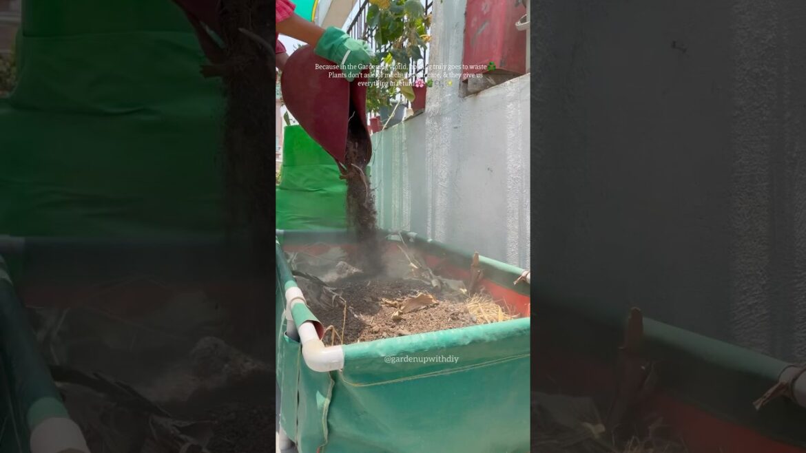 How to fill a grow bag with less soil #gardening #youtubeshorts