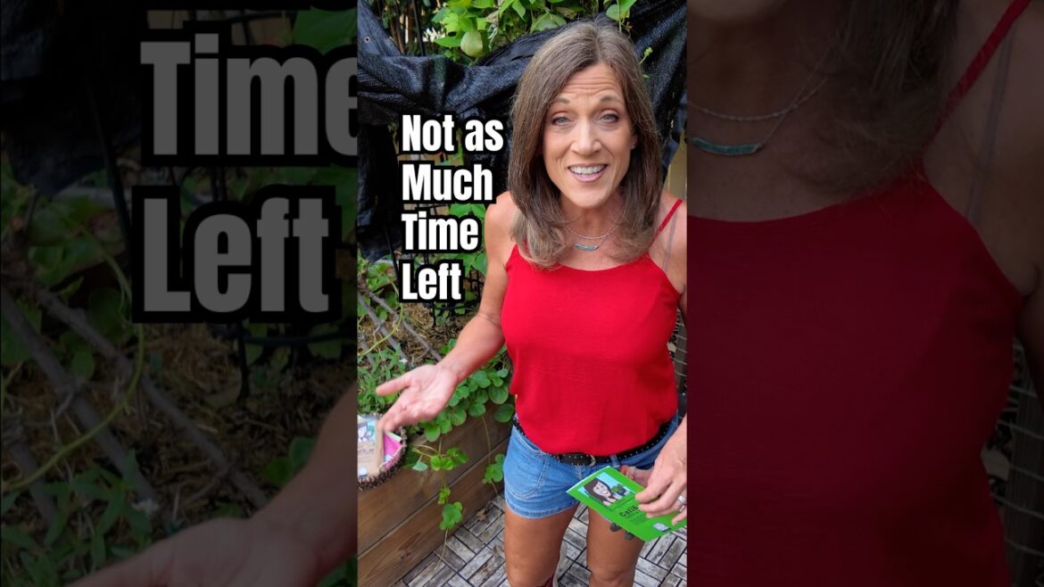 Not Much Time Left! Fall Veggies