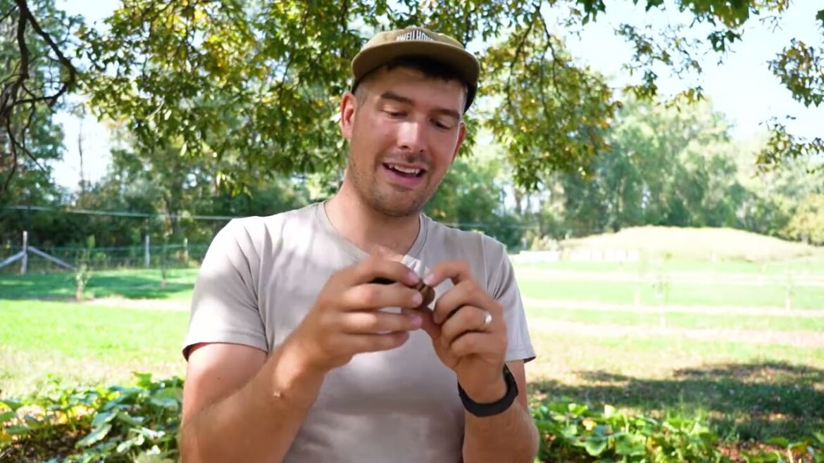 This Hassle Free Plant Grows Hundreds of Pounds With ZERO Effort!