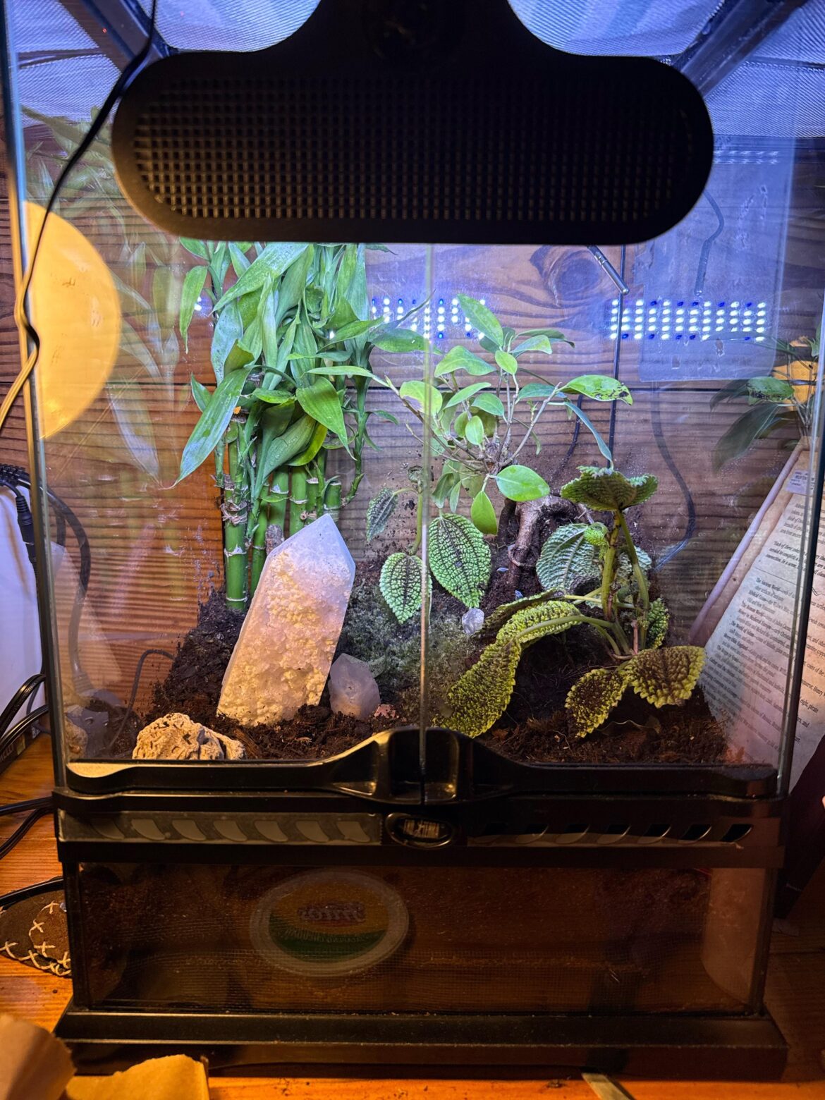 First time any tips? First time any tips?