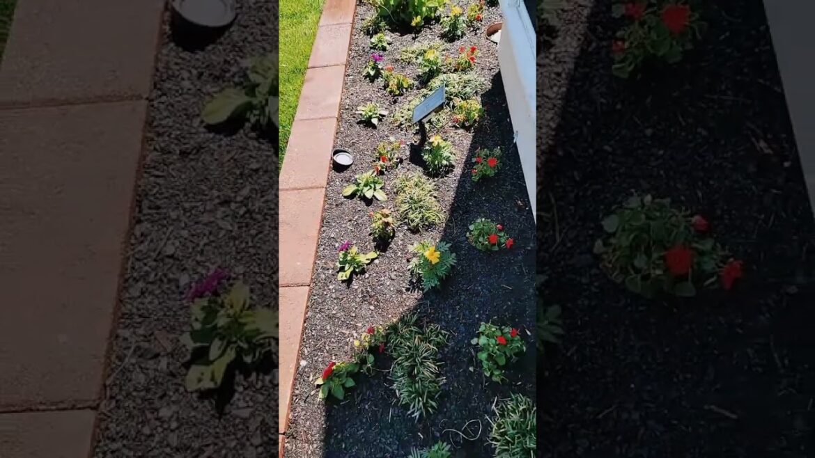 Front Yard Sprinkler System Fixed 🏡 Front Yard Sprinkler System Fixed 🏡