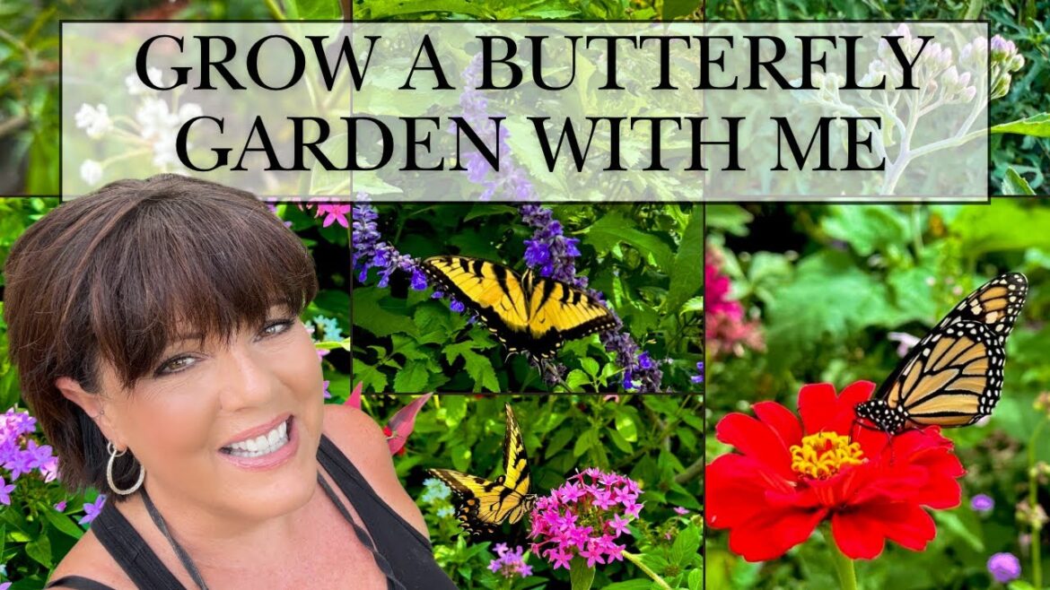 Butterfly Gardening: New Blooms, Future Garden Plans & Caterpillar Cuteness Butterfly Gardening: New Blooms, Future Garden Plans & Caterpillar Cuteness