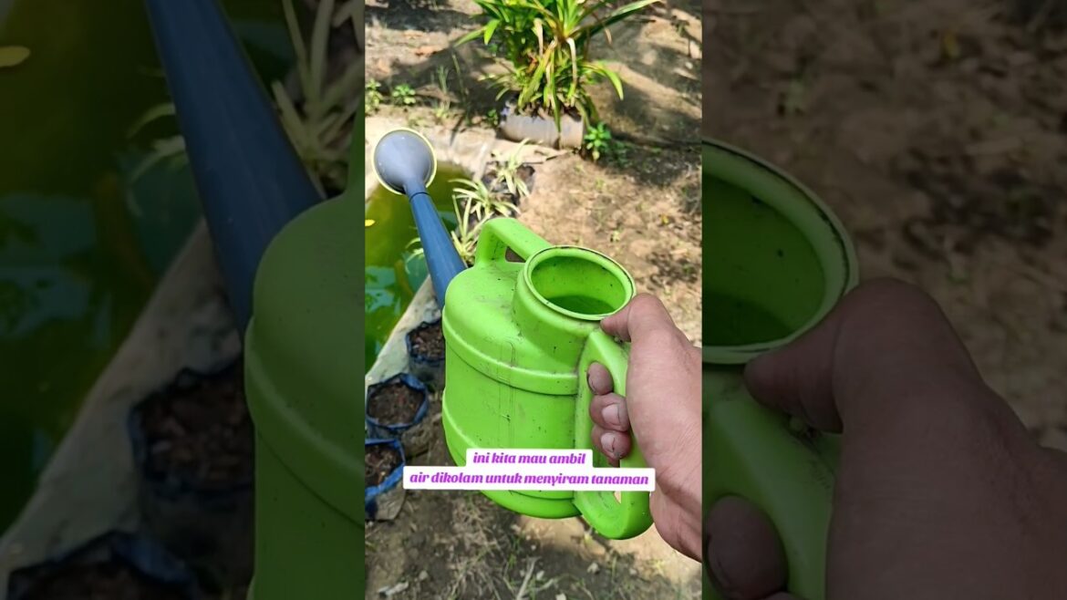 REKOMENDASI ALAT SIRAM TANAMAN POT #shorts #viral #trending #jepang #japanese