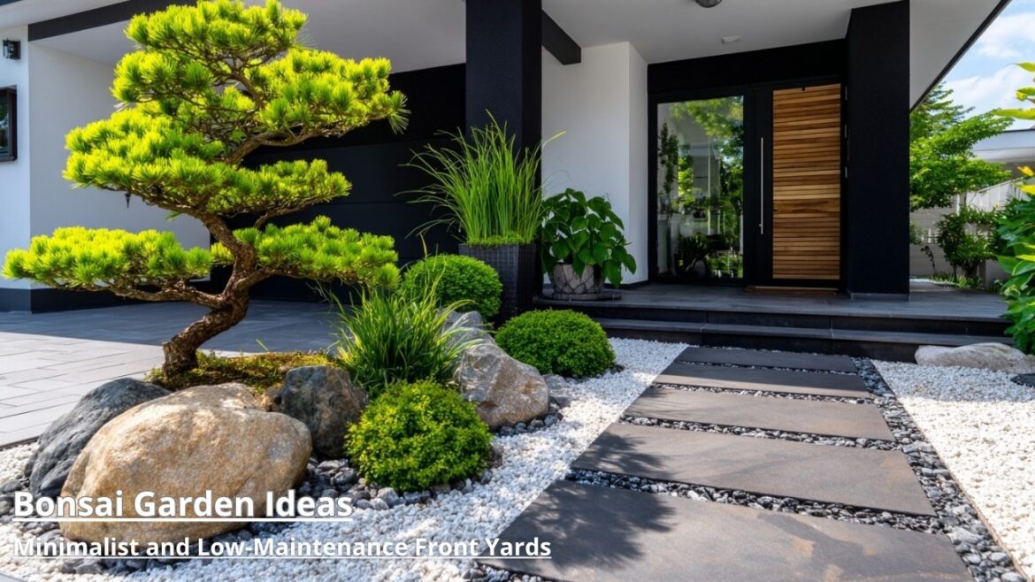 21 Stunning Bonsai Tree Ideas for Modern Front Yard Landscaping 21 Stunning Bonsai Tree Ideas for Modern Front Yard Landscaping