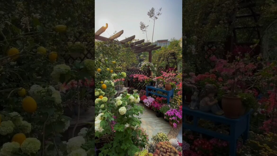 Sweet Home Garden Trends 🏡🌸🌴#gardening #homegarden #gardenlandscape #naturephotography #asmr #oasis