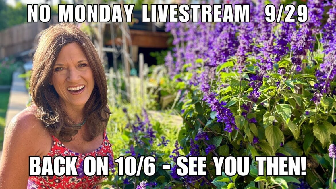 CaliKim: No Monday Livestream 929 – Back on 10/6 – See You Then No Monday Livestream 929 - Back on 10/6 - See You Then