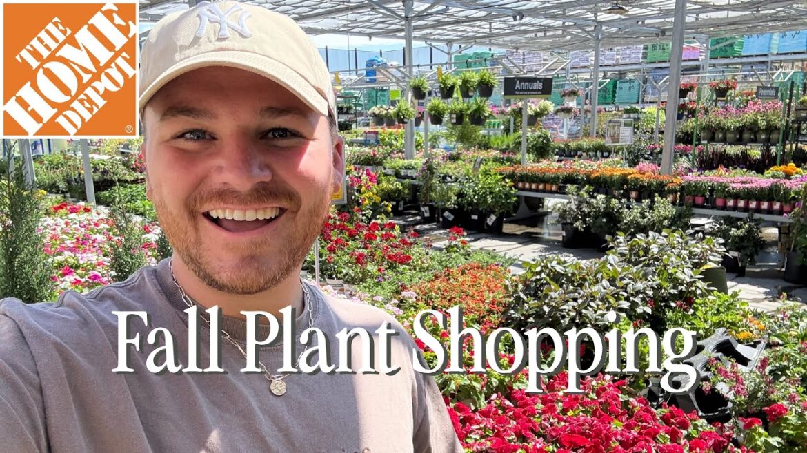 Hunting for Fall Color at Home Depot for Window Box Makeover || Visit Our Garden Hunting for Fall Color at Home Depot for Window Box Makeover || Visit Our Garden