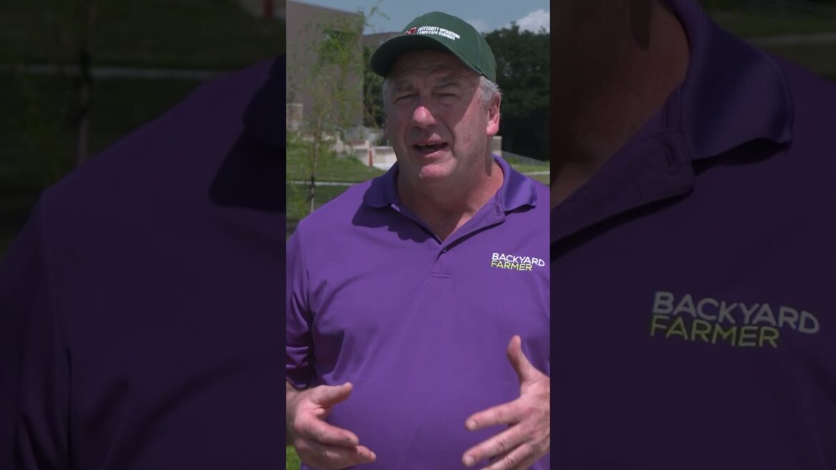 How to Diagnose Soil Compaction & Drainage Problems | Lawn & Garden Tips with Jeff Culbertson How to Diagnose Soil Compaction & Drainage Problems | Lawn & Garden Tips with Jeff Culbertson