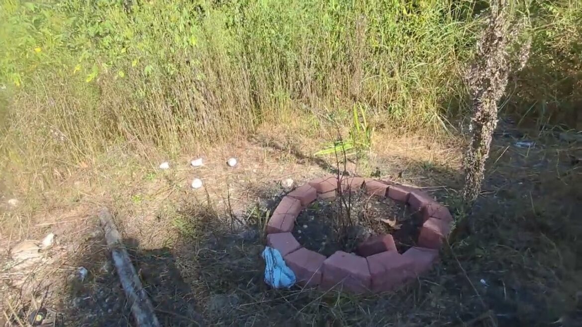 Rest of the Garden Plans