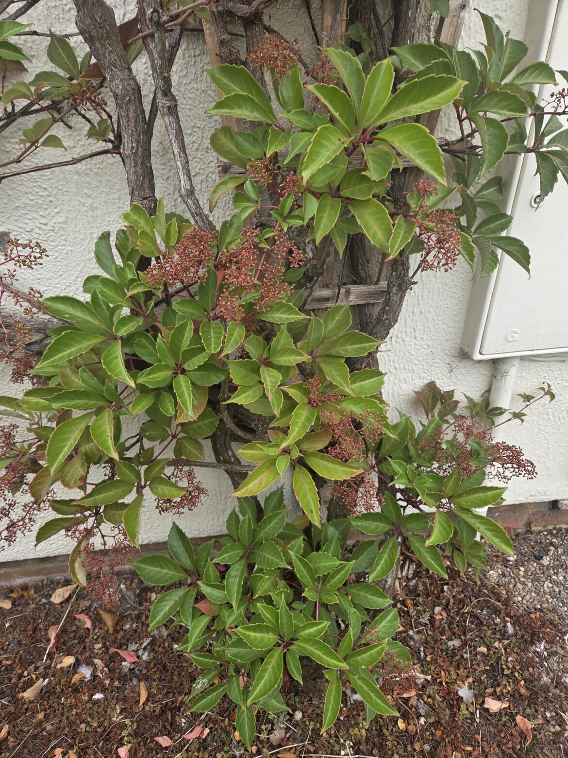 Unknown climber south of England.