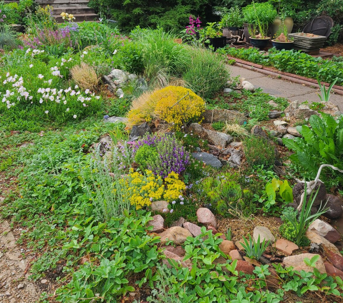 Rock garden instead of grass
