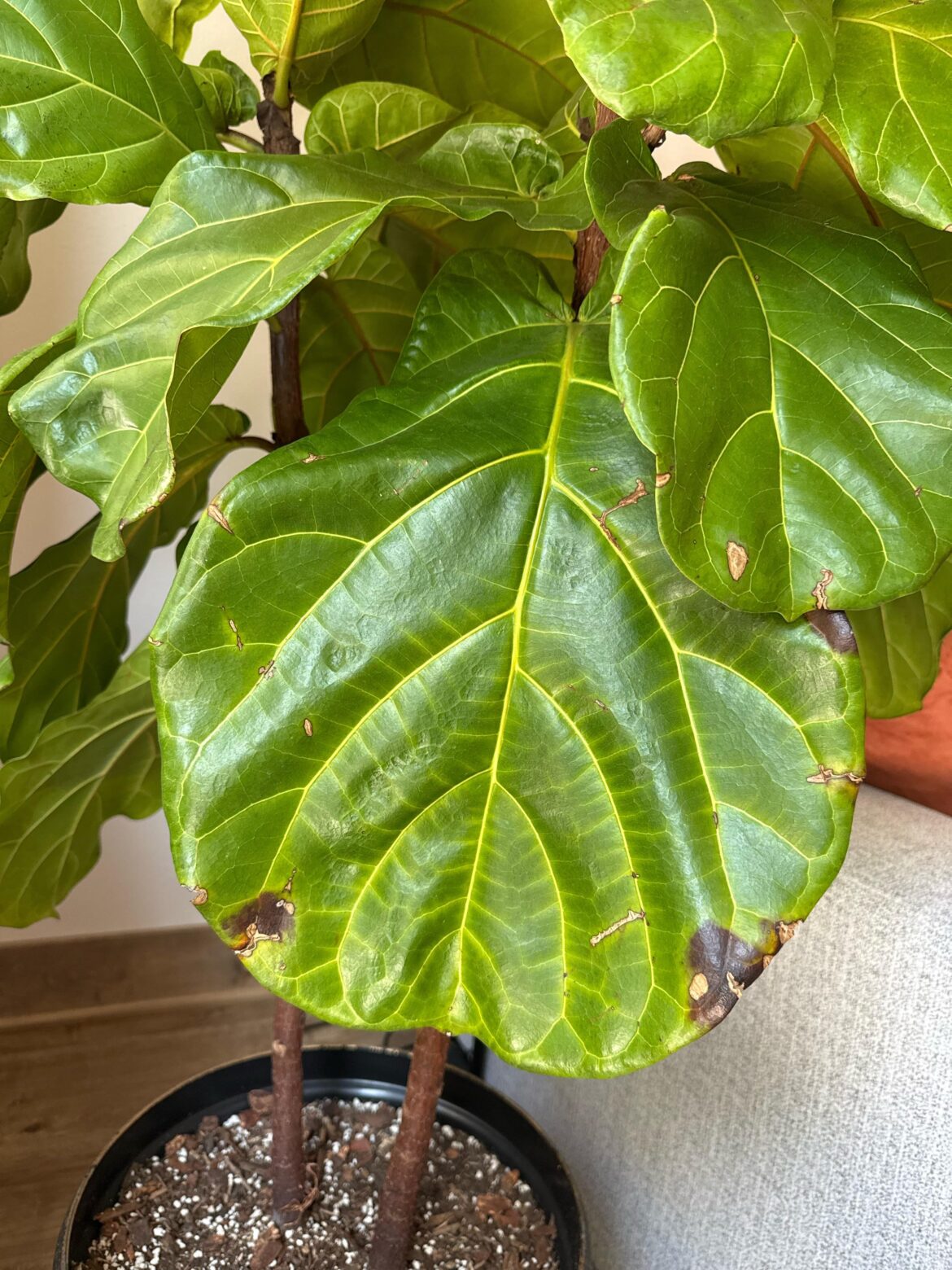 Help!!