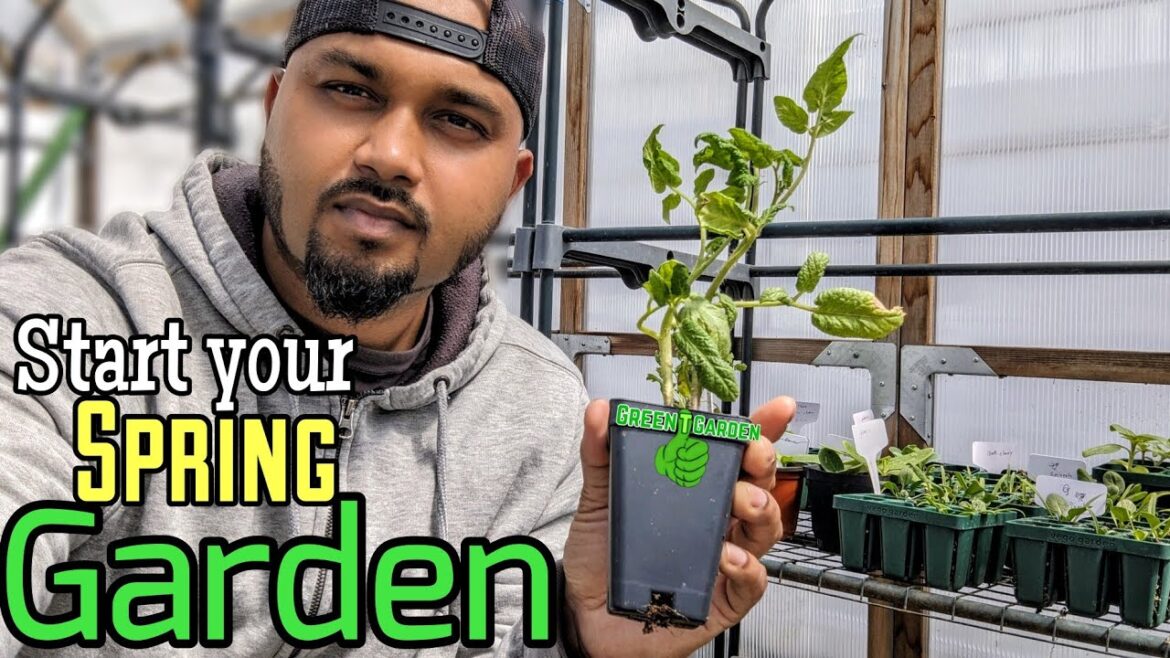 Spring Gardening “Checklist “Tips for Beginners 🌱 #gardening #garden #spring Spring Gardening "Checklist "Tips for Beginners 🌱 #gardening #garden #spring