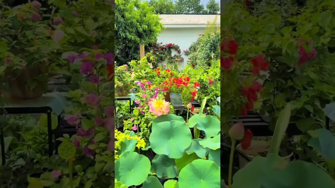 Amazing Garden Decor Trends To Watch 🌸🌿😯#gardening #nature #flower #photography #homedecor #asmr