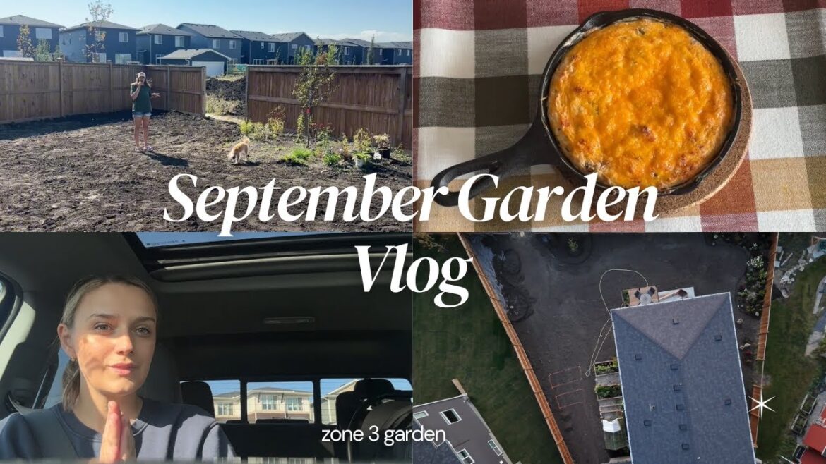 September 21 Garden Vlog | Japanese maple, yard progress, jalapeno popper dip! Zone 3