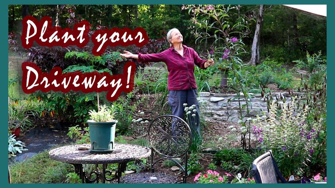 This was a rocky bank covered in periwinkle! Look at it now!