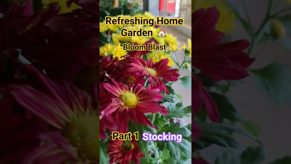 Exploring the Bloom Blast Gardening Trend