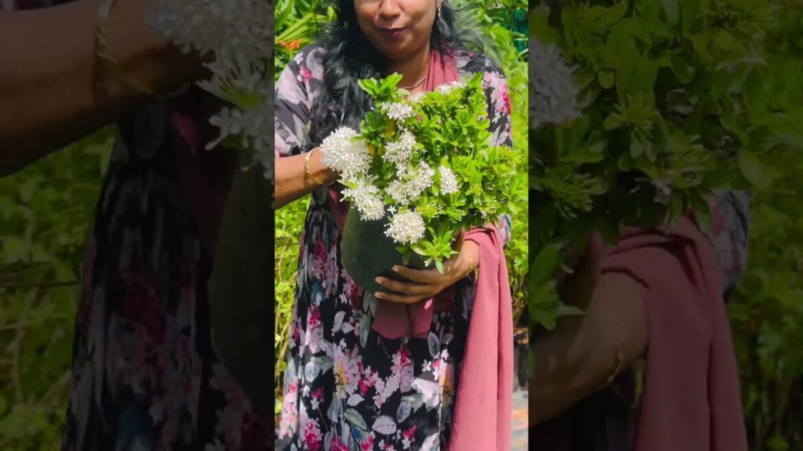 #8921939101 #plants #home #garden #gardendesign #gardenlandscaping #indoorplants #calathea