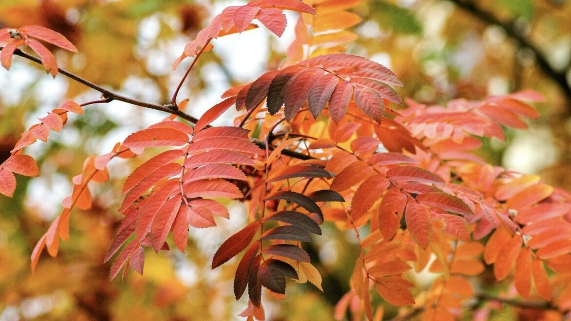 10 gardening jobs to squeeze in before summer comes to… 10 gardening jobs to squeeze in before summer comes to…