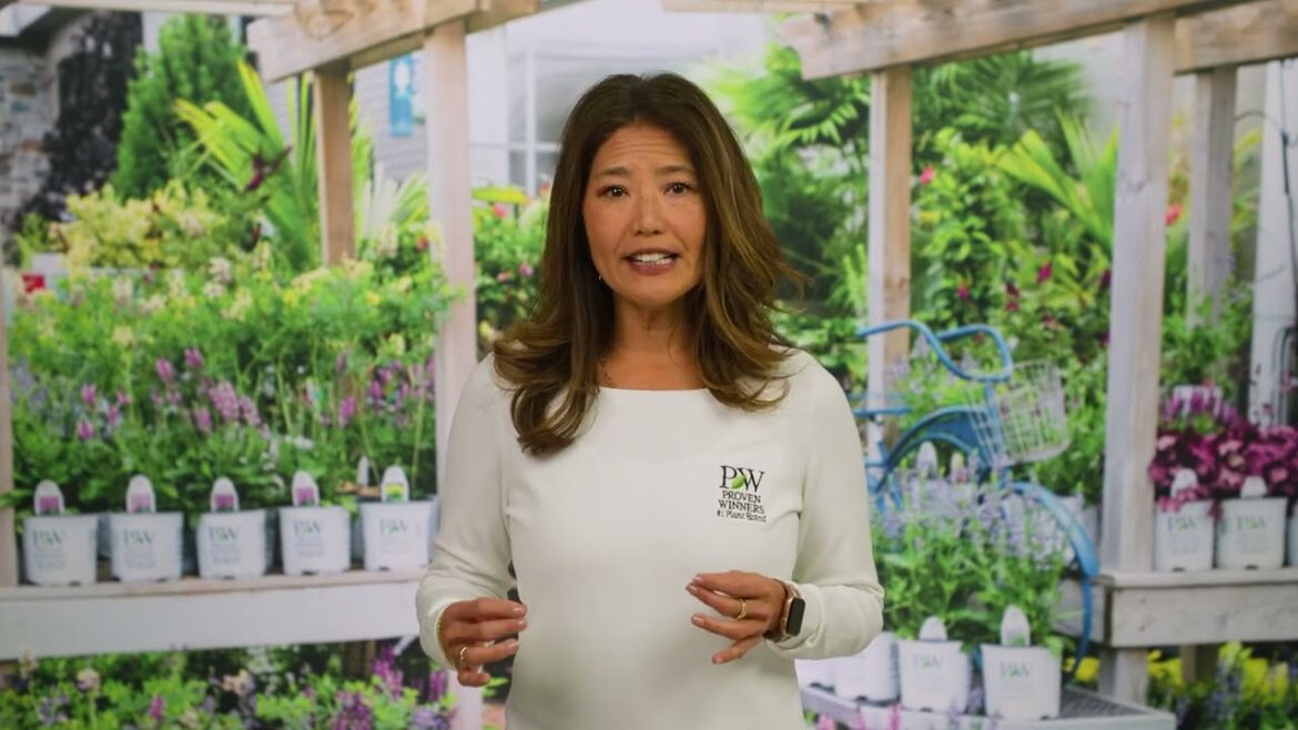 5 Easy Tips for Stunning Container Gardens | Proven Winners® Guide 5 Easy Tips for Stunning Container Gardens | Proven Winners® Guide