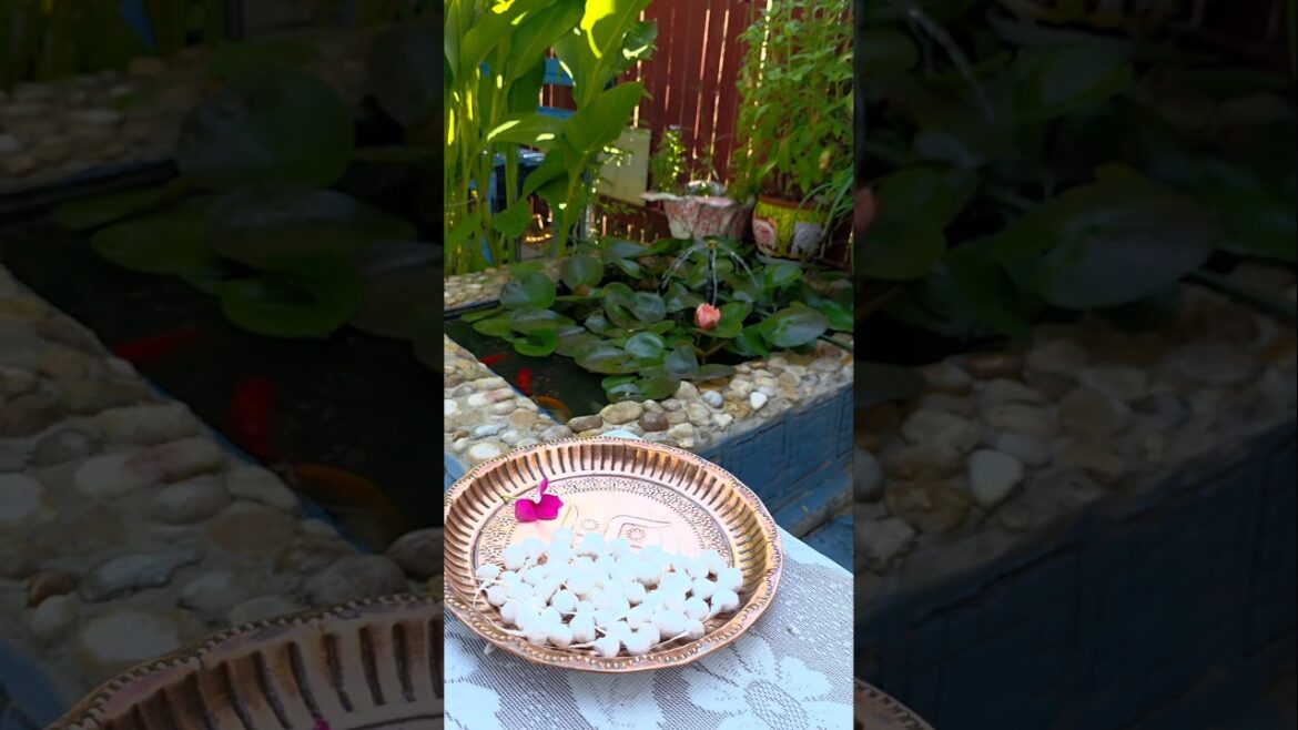 Fish, Water, and Cotton Clouds – Backyard Pond Bliss #diy #ponds #fishpond #fish #garden #waterlily