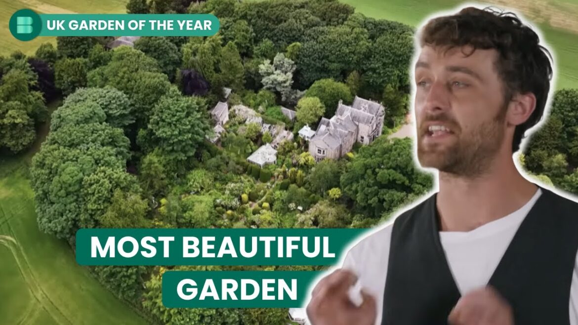 British Garden Winner REVEALED | UK Garden of the Year British Garden Winner REVEALED | UK Garden of the Year