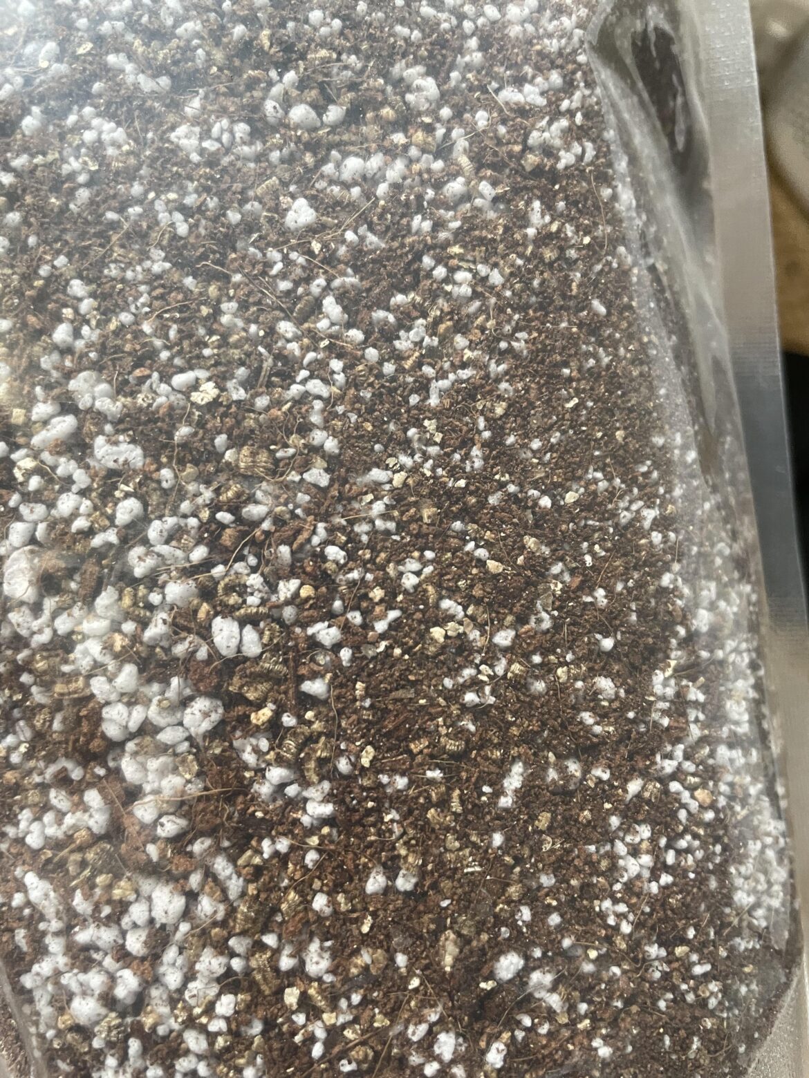 I added perlite to my AF mix, how is it looking?