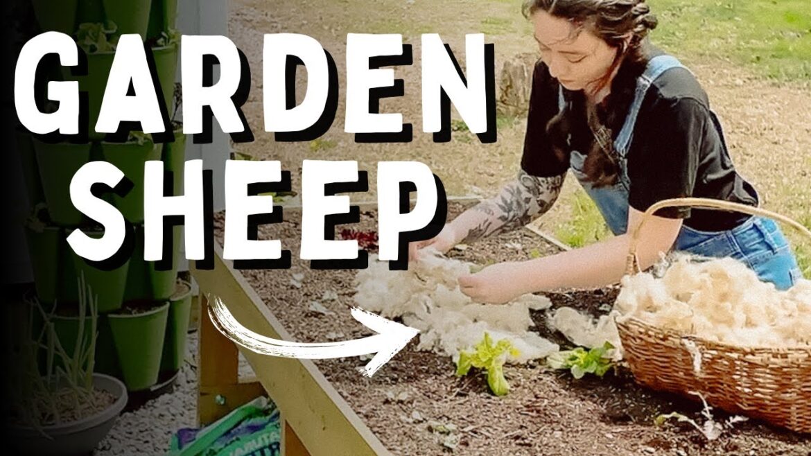 Why This Surprising Mulch Is Better Than Straw Why This Surprising Mulch Is Better Than Straw